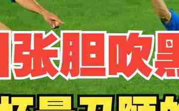 韩国世界杯:韩国对战意大利的激情碰撞